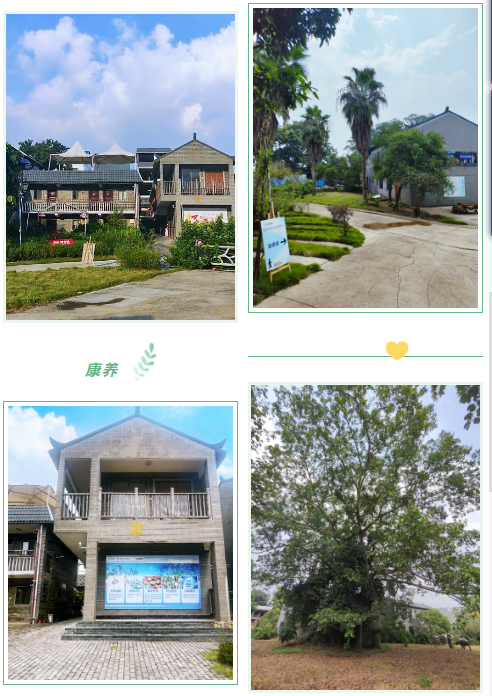 龙8头号玩家(国际)官方网站